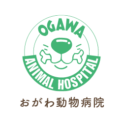 おがわ動物病院は西に越谷市、南に吉川市、北に春日部市、東は千葉県野田市に接している【埼玉県松伏町】にあります。各種予防、健康管理、手術など、どんなことでもお気軽にご相談下さい。