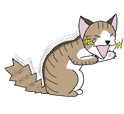 猫-口痛い