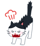 cat_angry