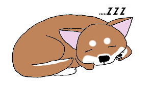 犬‐寝る